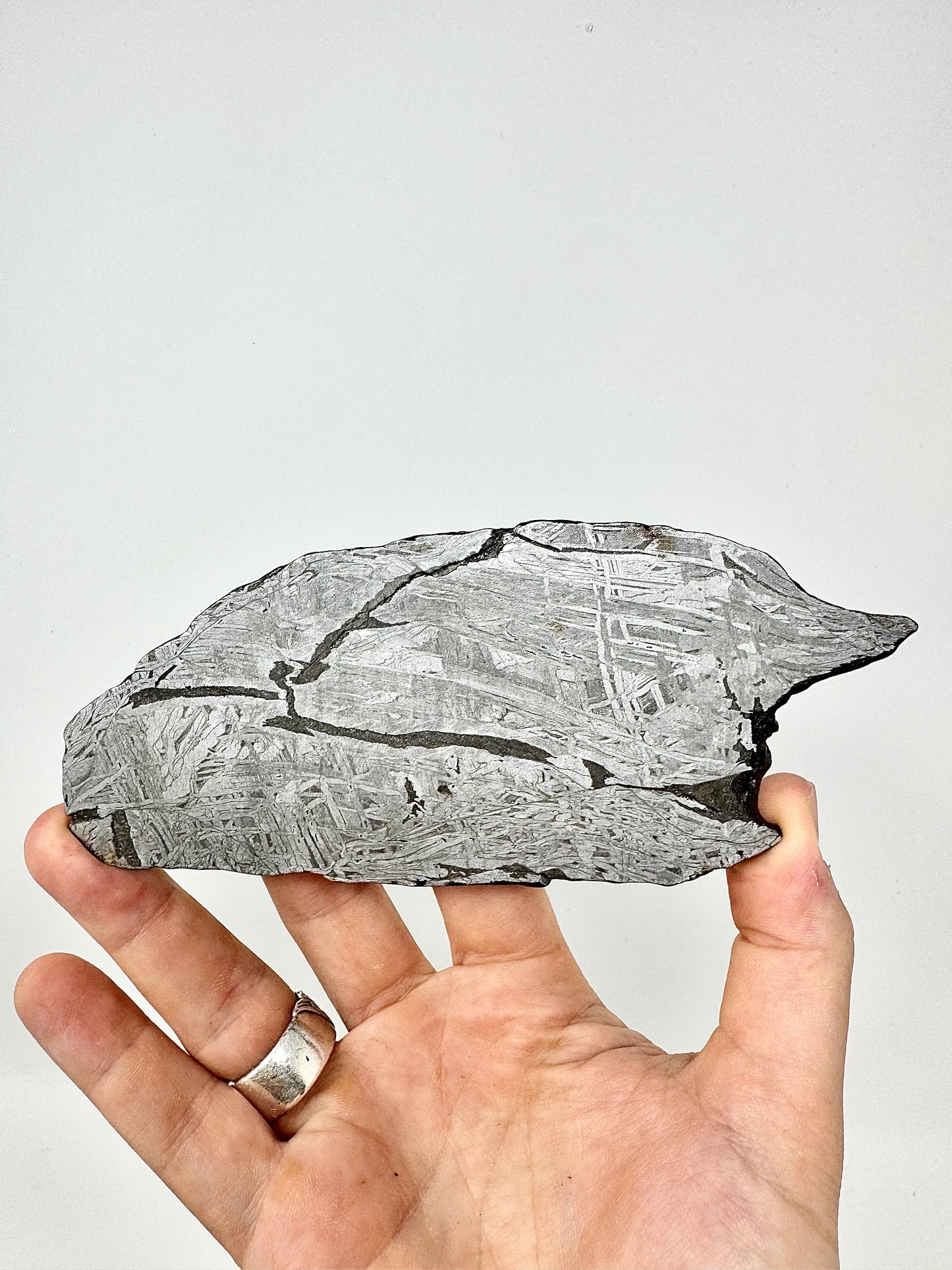 271.6g Aletai Meteorite - Beautiful Pattern - From The Core Of An Asteroid!