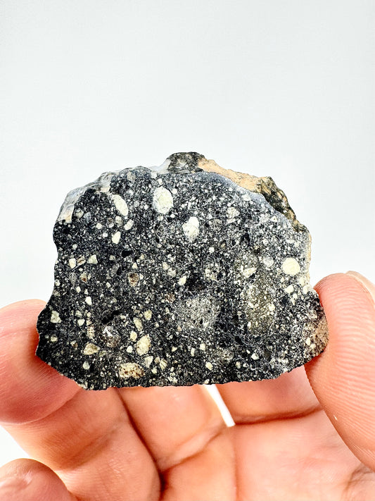 6.3g Stunning Diogenite Meteorite Under Classification - Beautiful Matrix! Parent Body: Asteroid Vesta