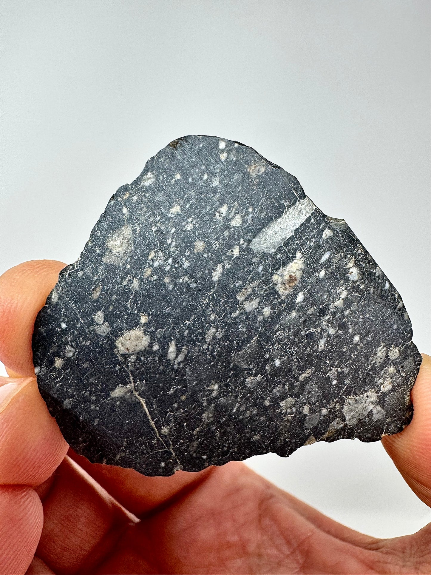 NEW! 8.4g Newly Discovered Lunar Breccia - FULL SLICE - A Genuine Piece Of Our Moon!