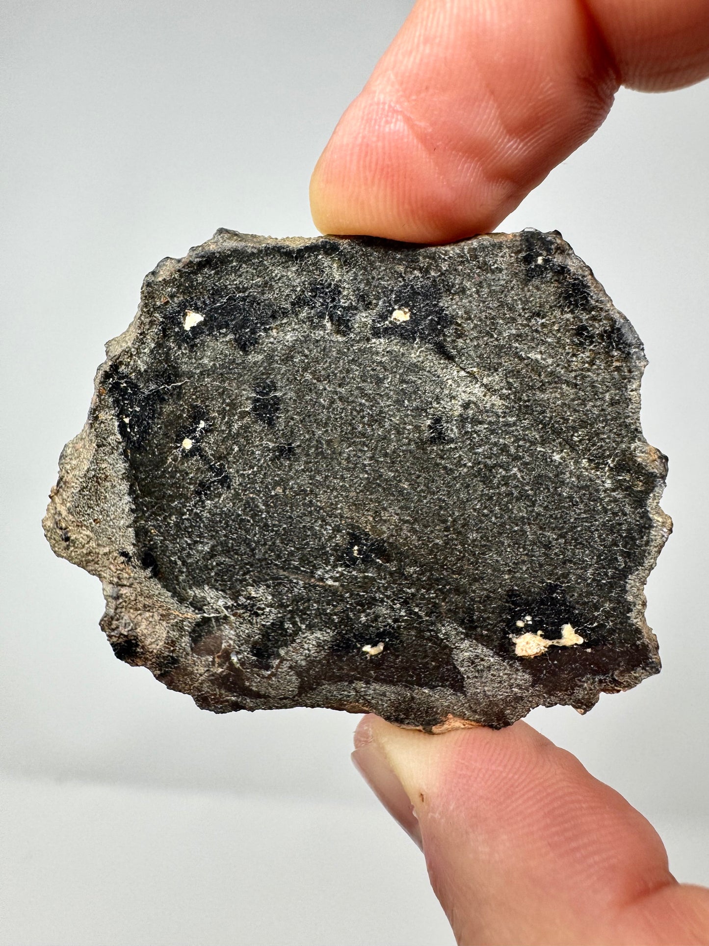 16.8g  Genuine Martian Meteorite with Aqueous Alteration - Pending Classification - Scientifically Studied Rock From Planet Mars