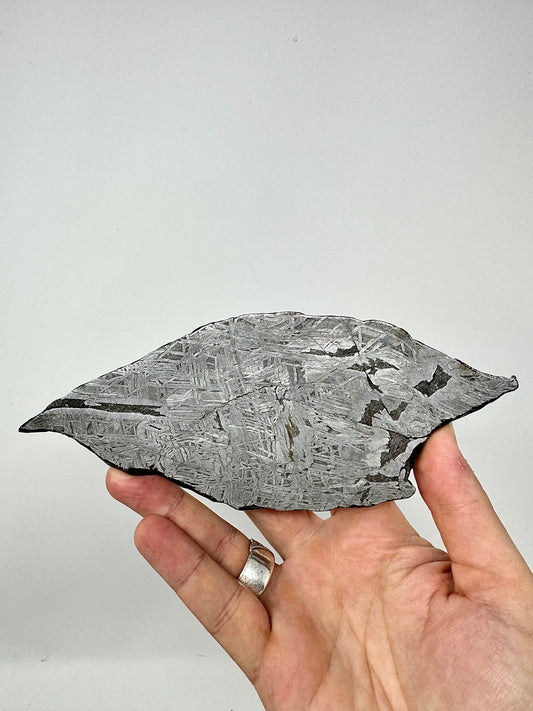 288.5g Aletai Meteorite - Beautiful Pattern - From The Core Of An Asteroid!