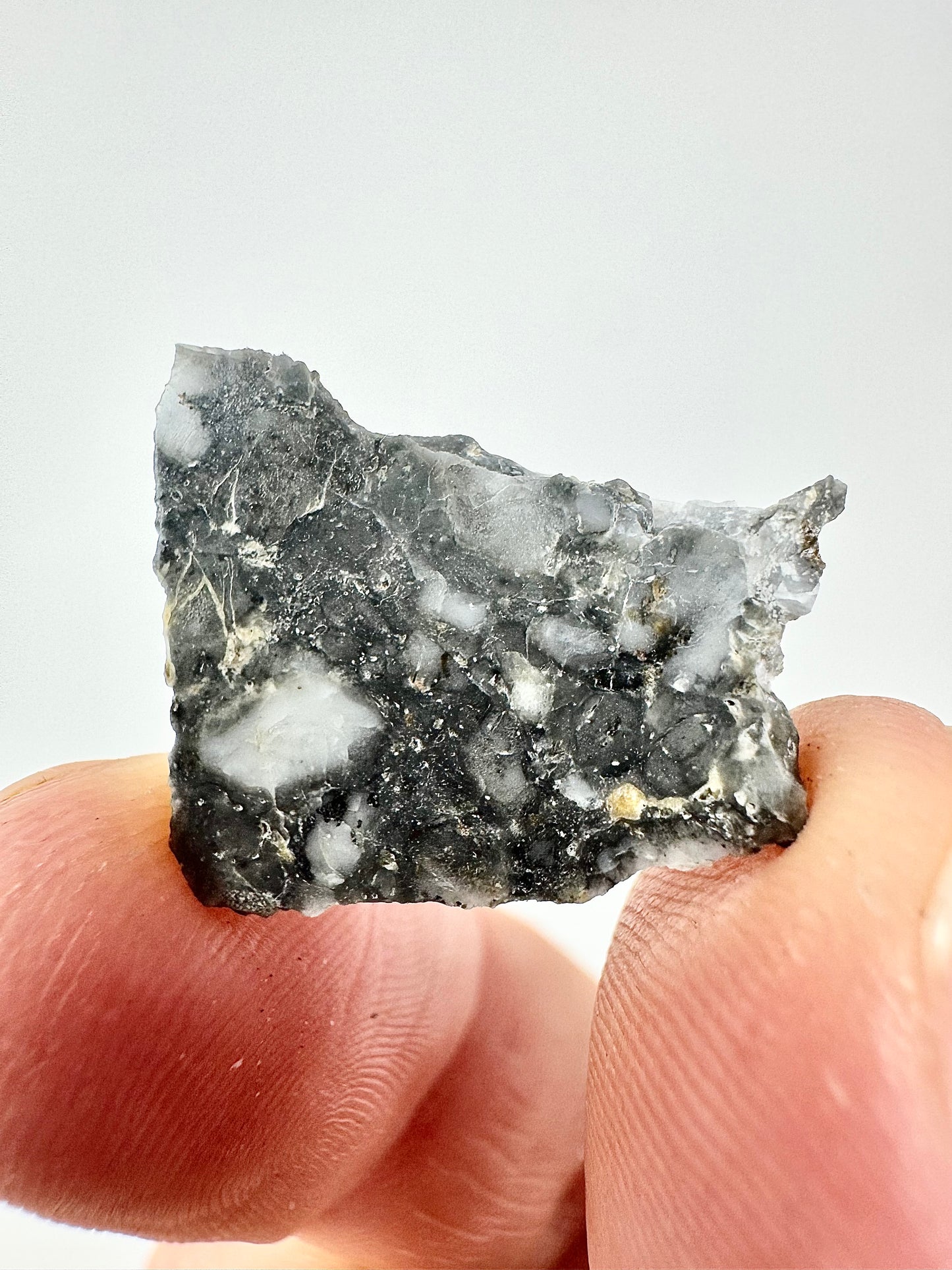 1.6g Adrar 017 Lunar Meteorite - A Rare Gabbro/Norite - From Our Moon!