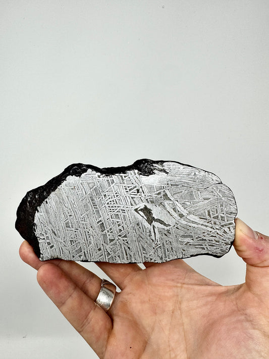 232.1g Aletai Meteorite - Beautiful Pattern - From The Core Of An Asteroid!