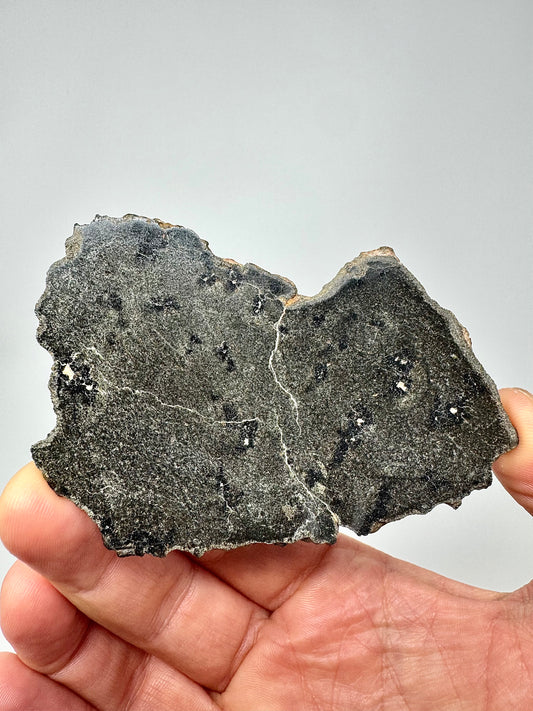29.7g Genuine Martian Meteorite with Aqueous Alteration - FULL SLICE - Pending Classification - Scientifically Studied Rock From Planet Mars