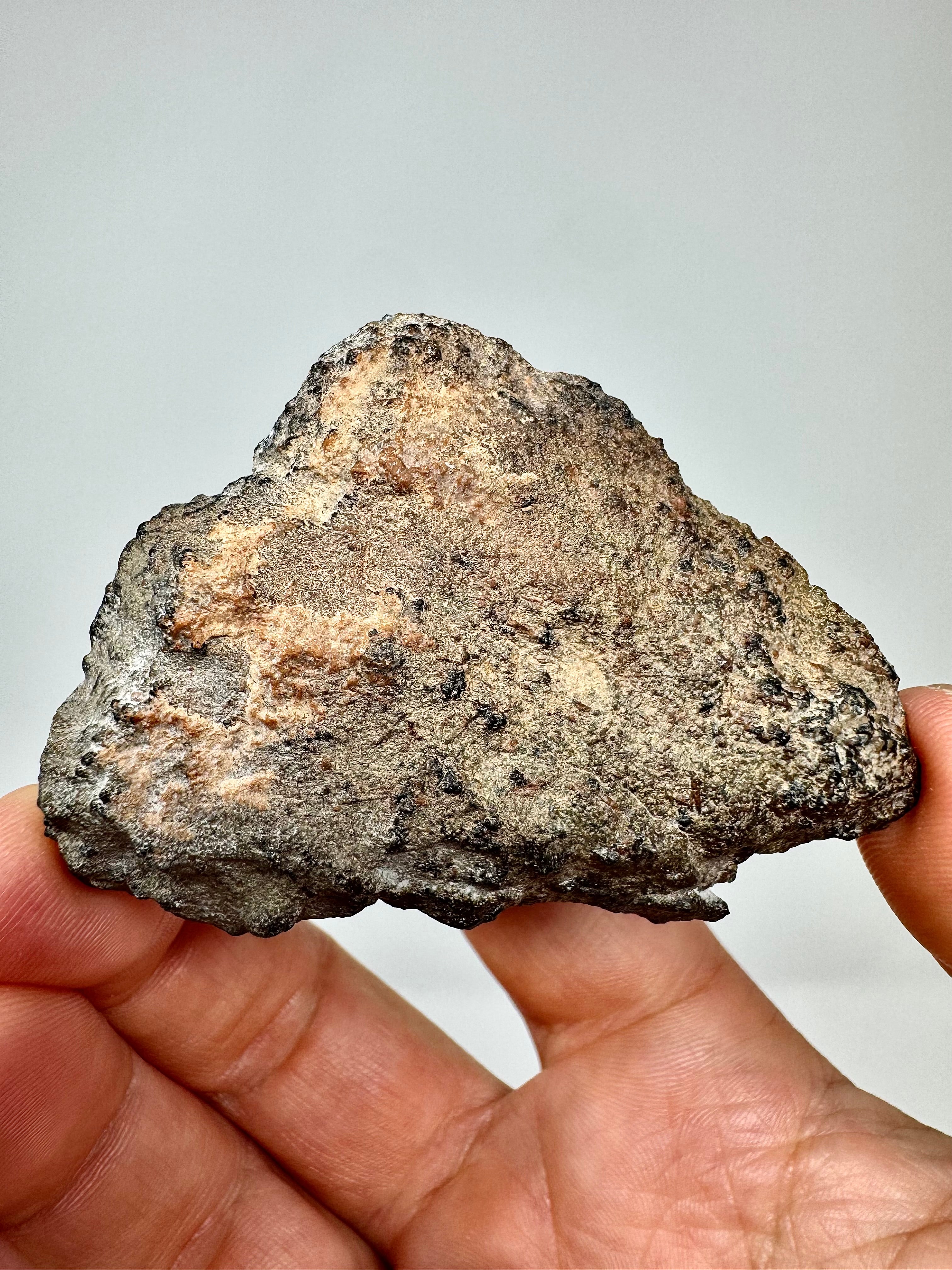 The Interstellar Collection of Meteorites - Newest Arrivals – Page 2