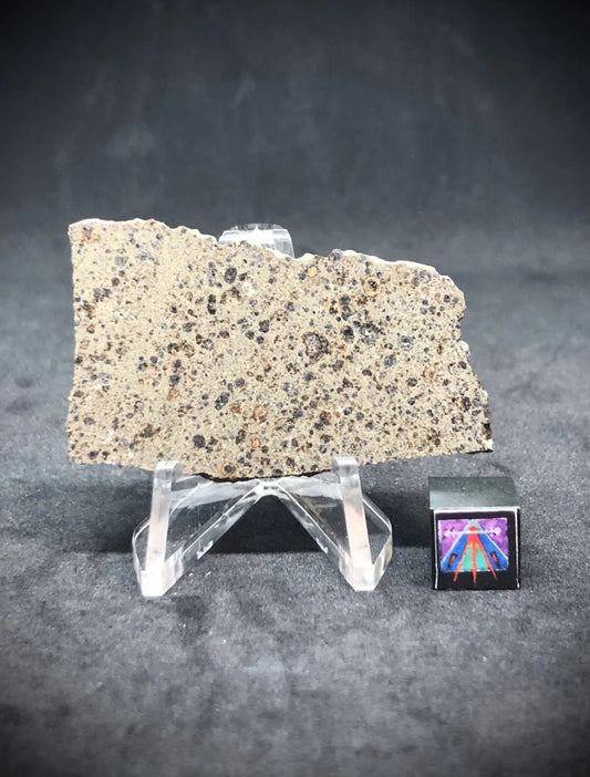 NWA 16314 10.2g Carbonaceous Chondrite - CK5 Meteorite
