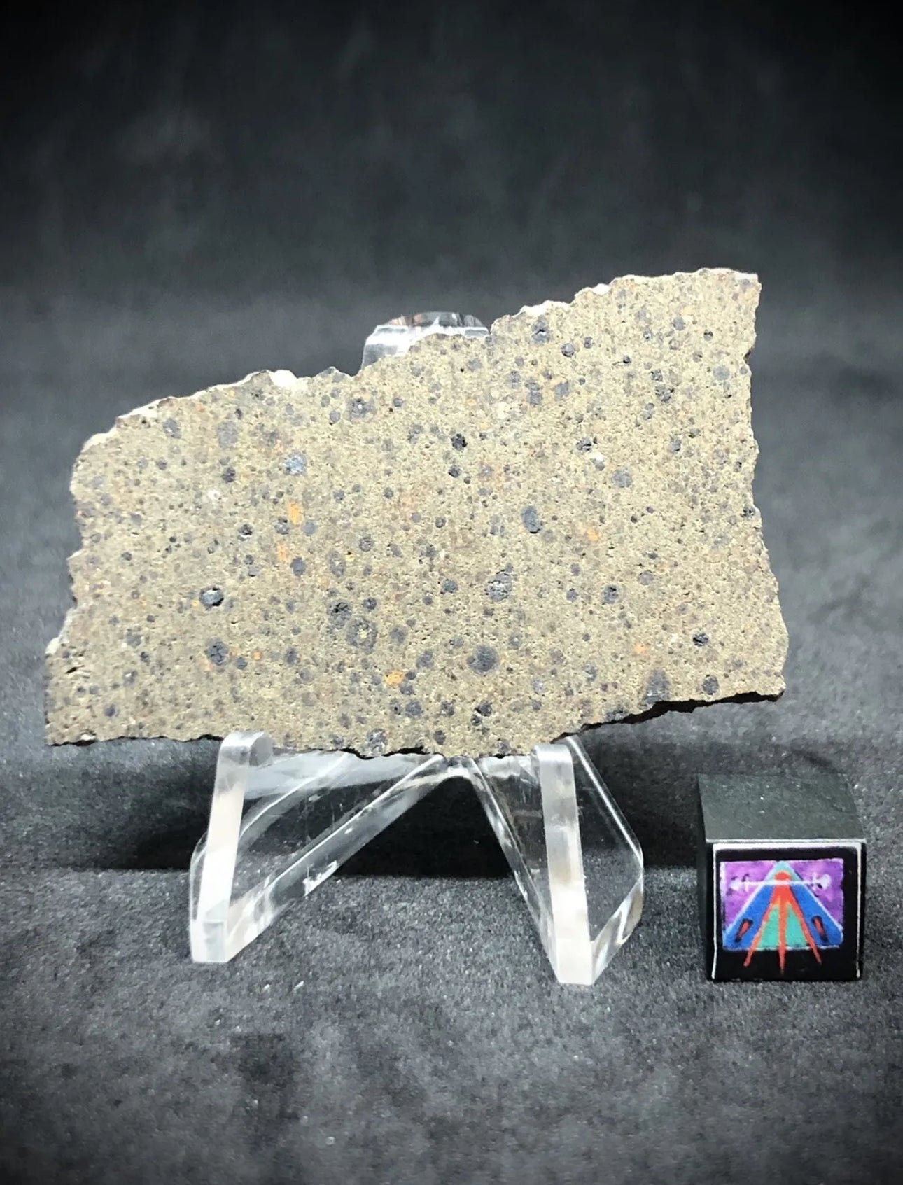 NWA 16314 10.2g Carbonaceous Chondrite - CK5 Meteorite