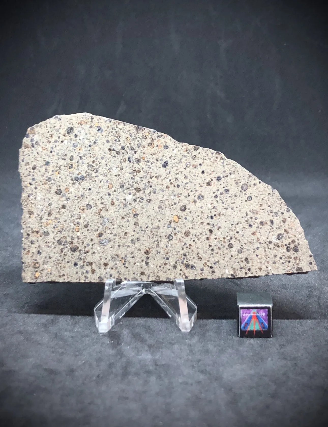 NWA 16314 28.4g Carbonaceous Chondrite - CK5 Meteorite