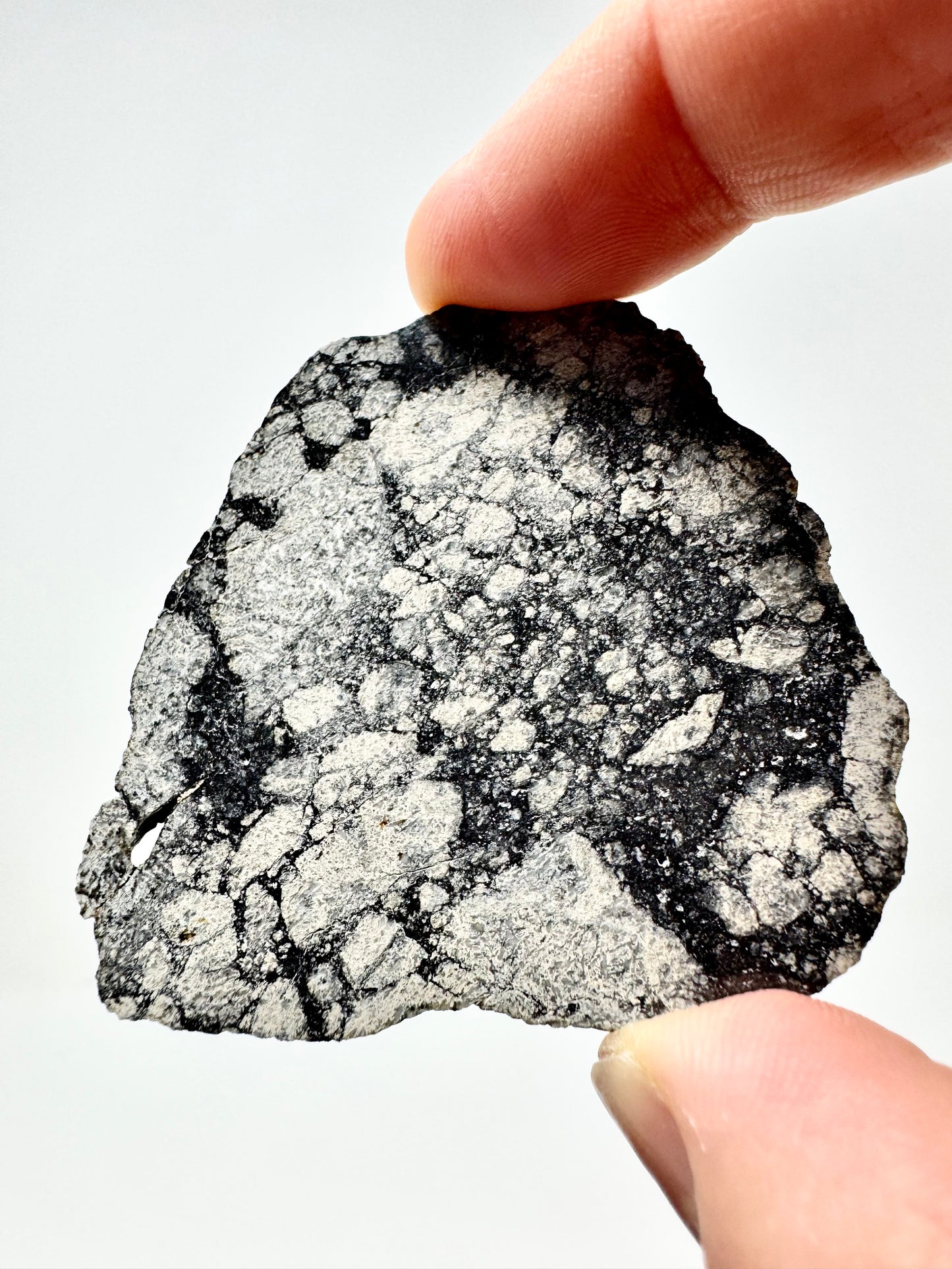 NWA 15923 Eucrite Melt Breccia Meteorite - From An Asteroid! 17.6g