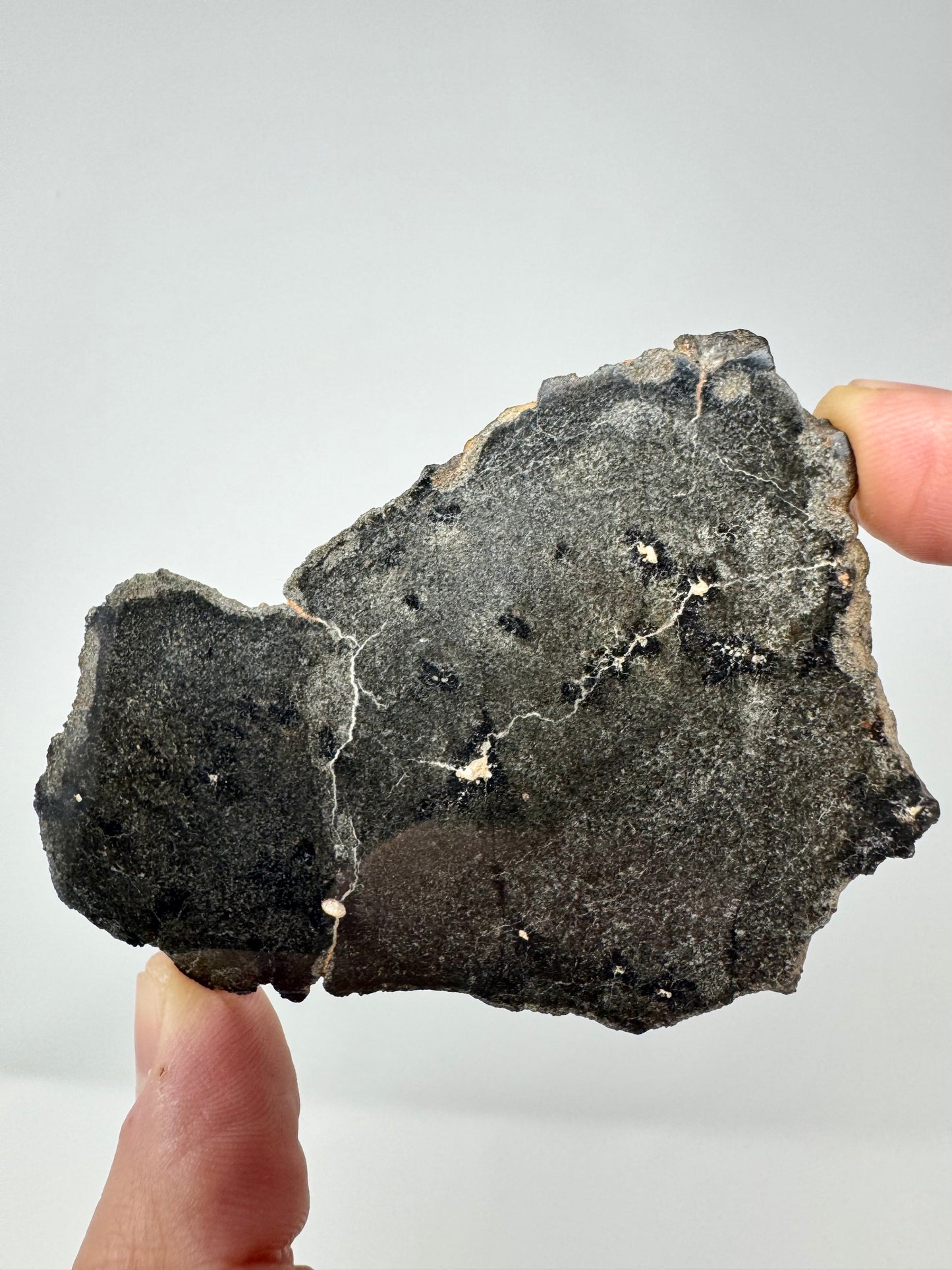 28.7g Genuine Martian Meteorite with Aqueous Alteration - FULL SLICE - Pending Classification - Scientifically Studied Rock From Planet Mars