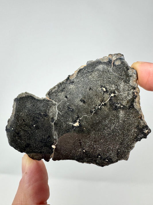 28.7g Genuine Martian Meteorite with Aqueous Alteration - FULL SLICE - Pending Classification - Scientifically Studied Rock From Planet Mars