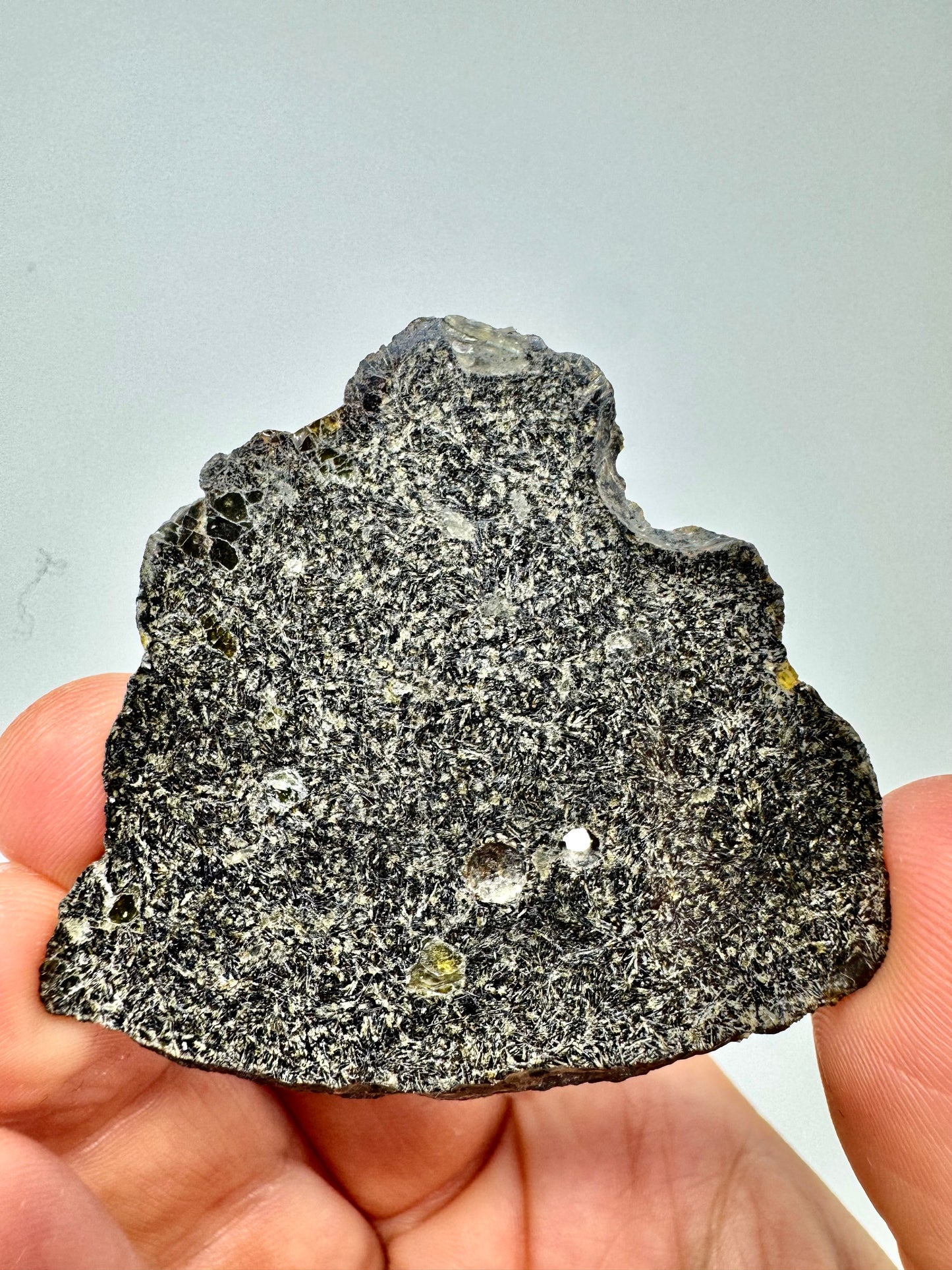 NEA 120 Full Slice - A Rare, Vesicular Angrite Meteorite w/ Needle-Like Matrix And Translucent Crystals! 15.6g
