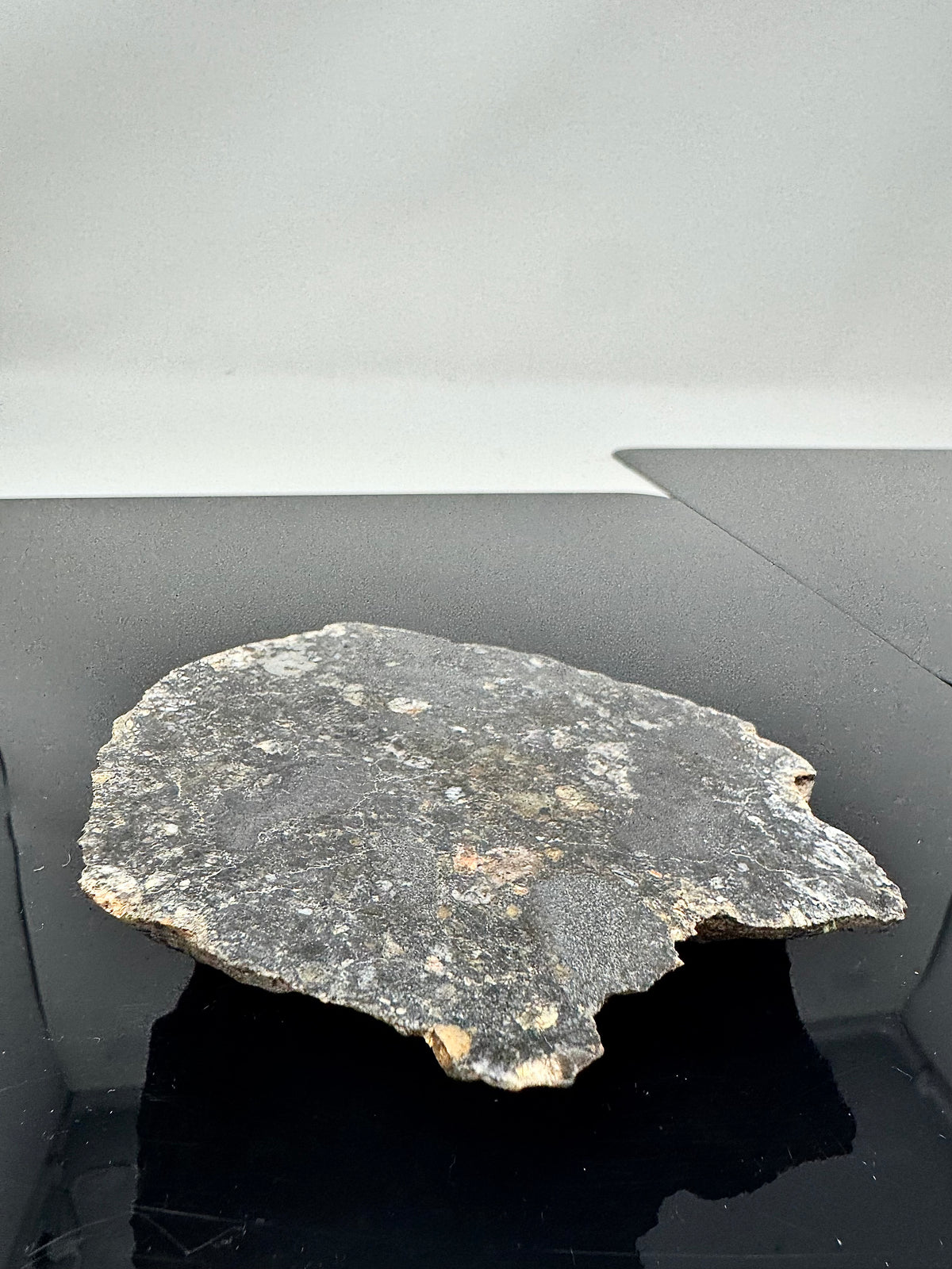 NEW!  223.9g END CUT (Second Largest Mass) Jaw-Dropping Personal Classification of NWA 18785 Aubrite - Fragmental Monomict Breccia, Enstatite Achondrite Meteorite - Evidence of Possible Linkage To Planet Mercury