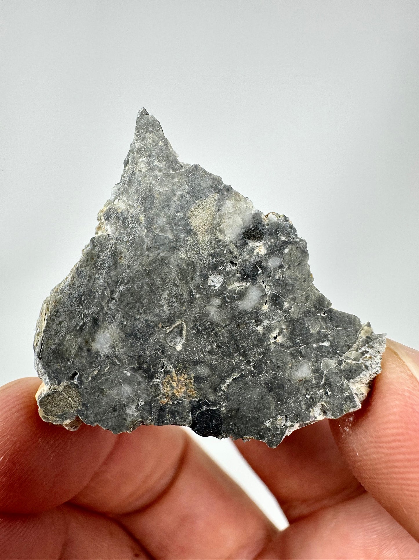 4.8g Adrar 017 Lunar Meteorite - A Rare Gabbro/Norite - From Our Moon!