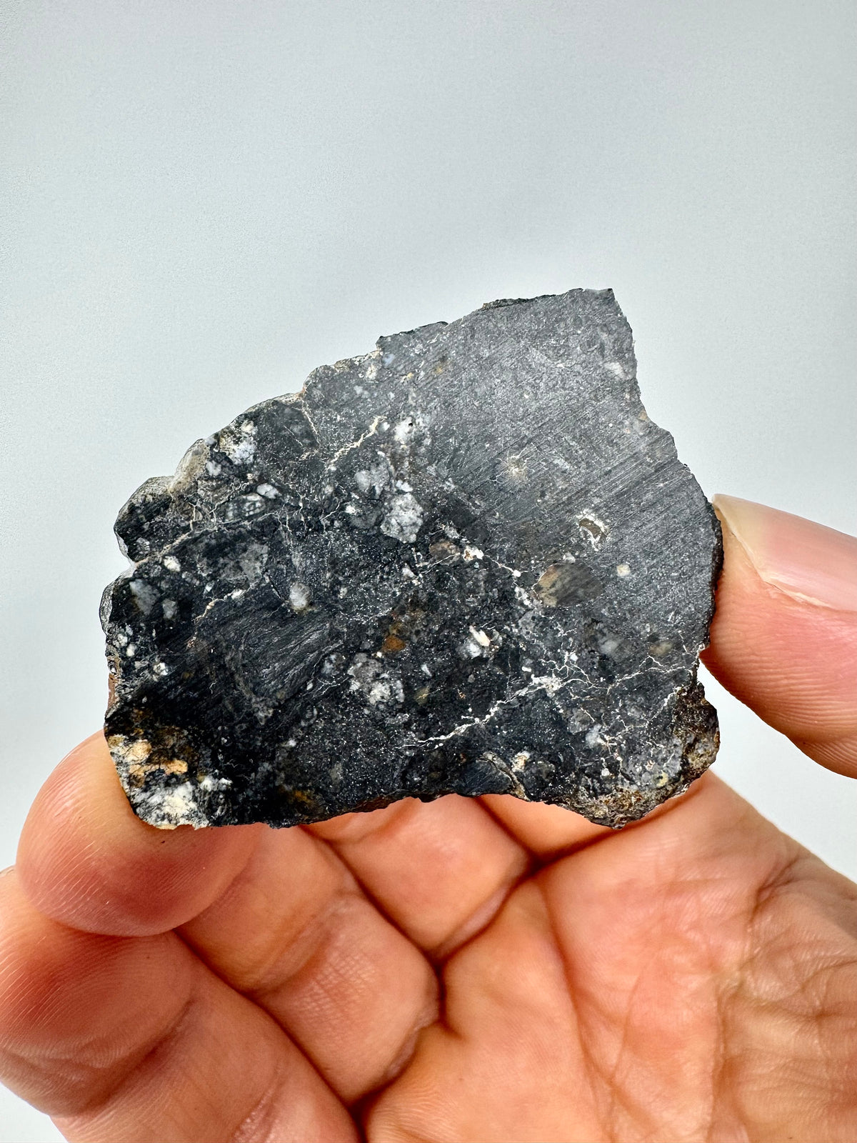 NEW: 10.6g Personal Classification of NWA 18785 Aubrite - Fragmental Monomict Breccia, Enstatite Achondrite Meteorite - Evidence of Possible Linkage To Planet Mercury
