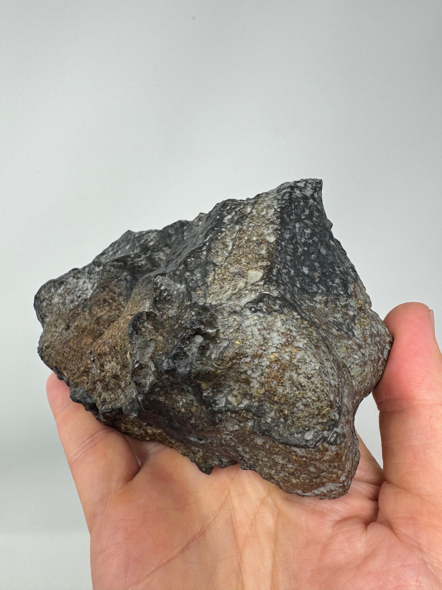 NEW! NWA 17273 Massive L5 Melt Breccia Meteorite End Cut w/ Jet Black Fusion Crust - From An Asteroid! 964.5g
