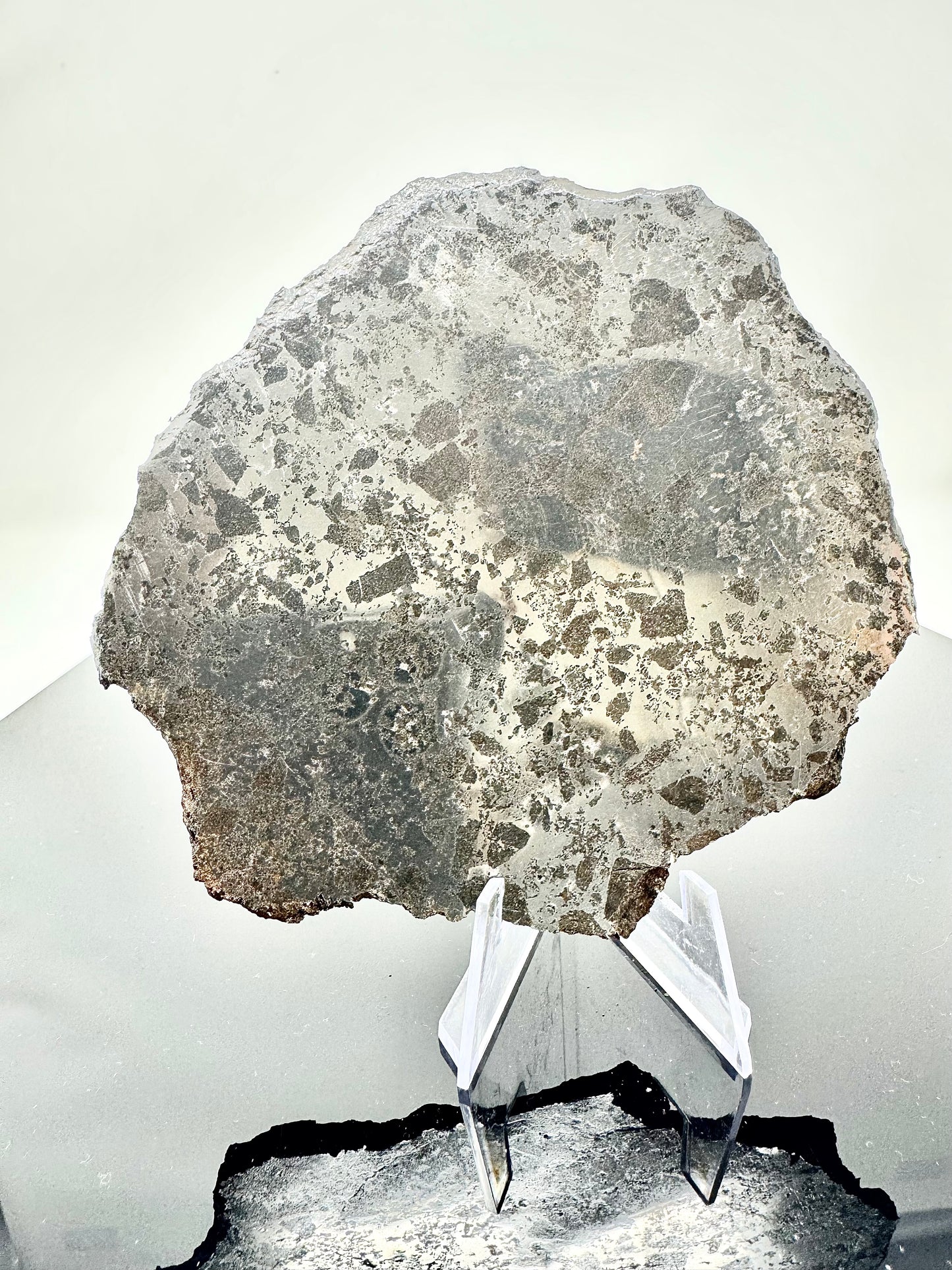 NEW! 228.6g Extremely High Iron Winonaite Meteorite Under Study - A Primitive Achondrite!