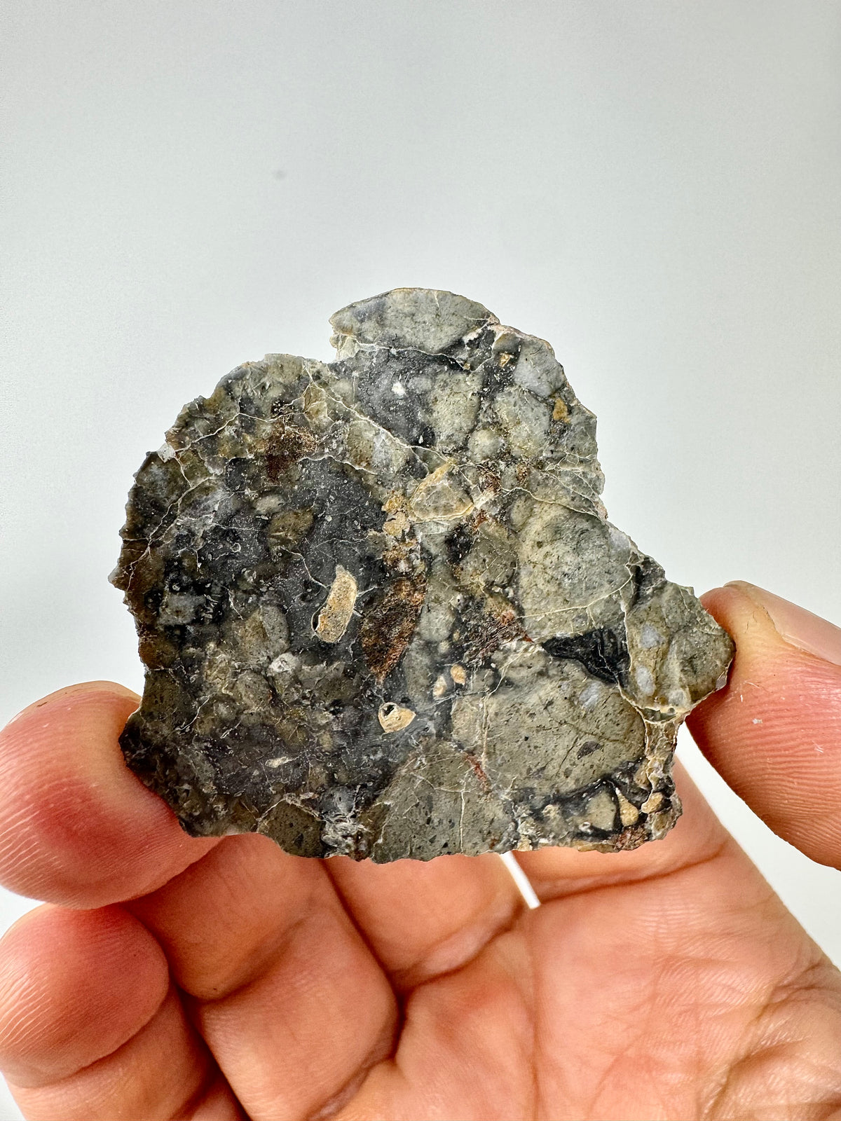 6.0g Adrar 017 Lunar Meteorite “The Halloween Skull” - A Rare Gabbro/Norite - From The Moon!