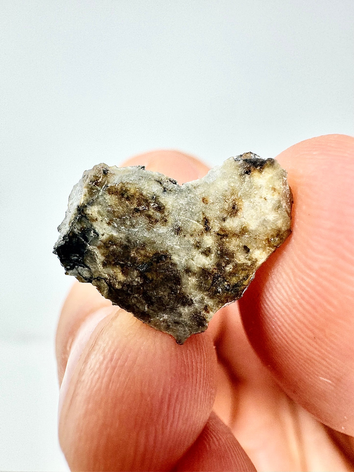 1.2g Djoua 001 Enstatite Achondrite Meteorite - Evidence of Planet Mercury - Marble Appearance