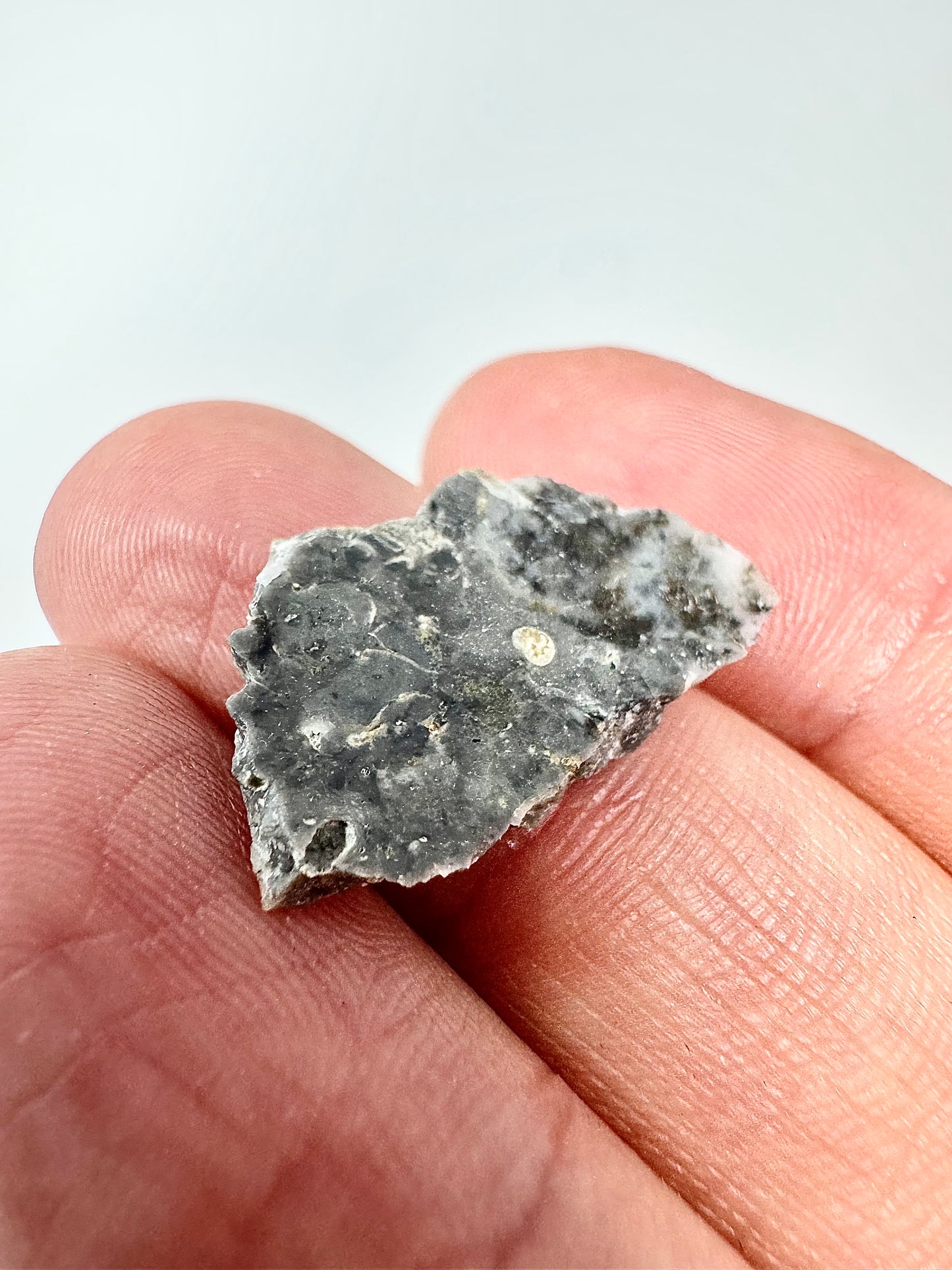 1.5g Adrar 017 Lunar Meteorite - A Rare Gabbro/Norite - From Our Moon!
