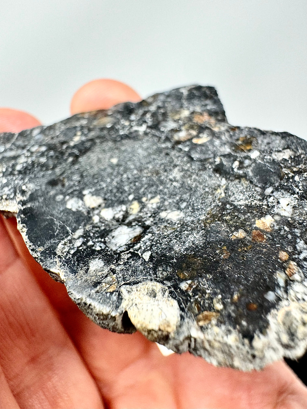 NEW! 14.3g Jaw-Dropping Personal Classification of NWA 18785 Aubrite - Fragmental Monomict Breccia, Enstatite Achondrite Meteorite - Evidence of Possible Linkage To Planet Mercury