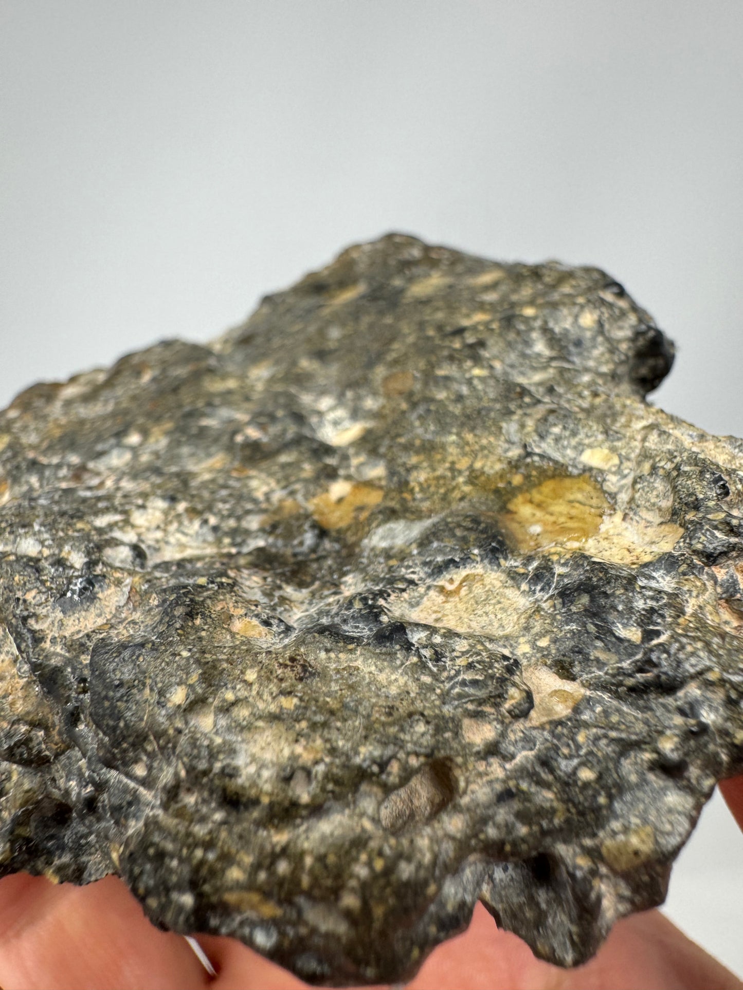 NEW! 174.6g MAIN MASS Stunning Diogenite Meteorite Under Classification - Beautiful Matrix! Parent Body: Asteroid Vesta