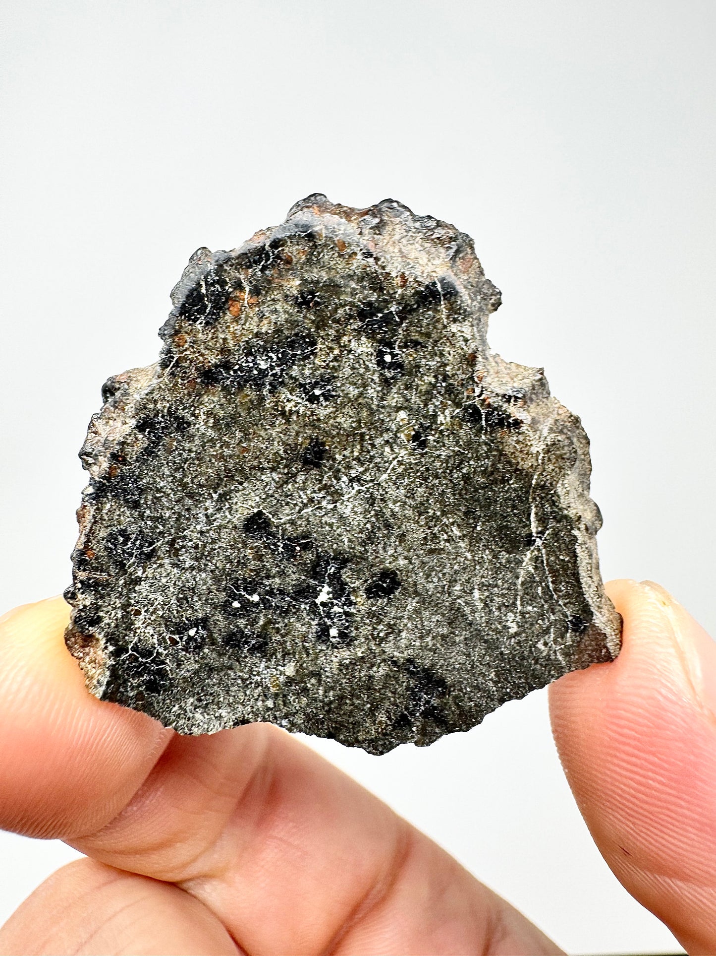 NEW: 7.5g Genuine Martian Meteorite - Scientifically Studied Rock From Planet Mars w/ Aqueous Alteration - NWA 18281