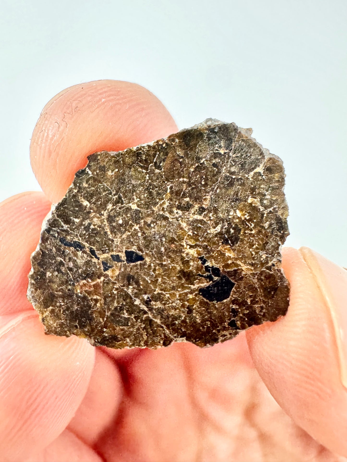 1.9g NWA 16317 Translucent Diogenite Meteorite - Parent Body: Asteroid Vesta