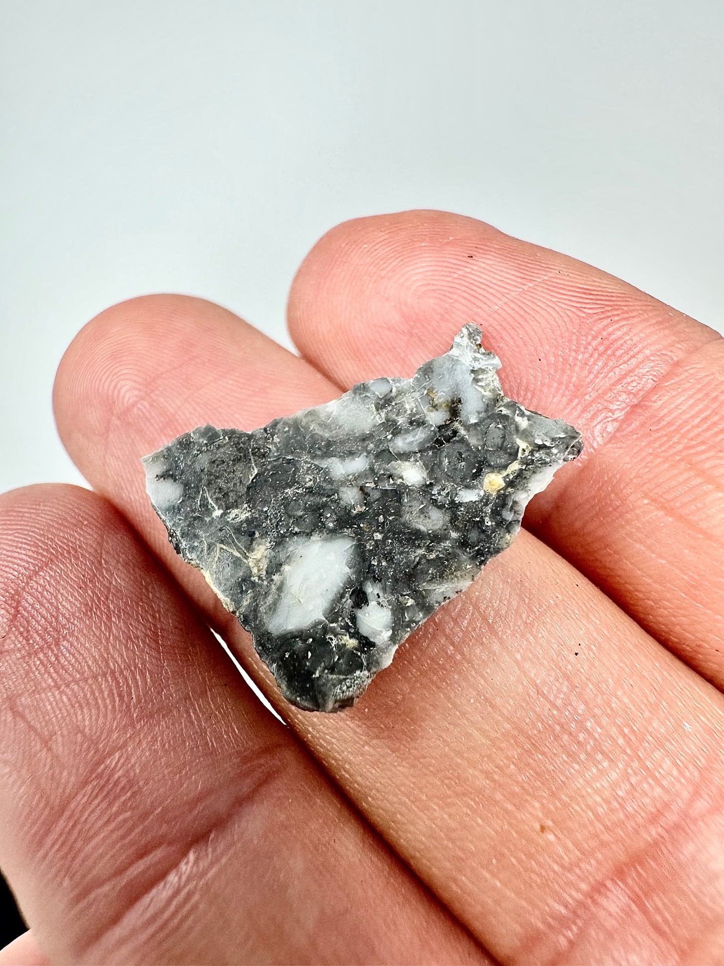 1.6g Adrar 017 Lunar Meteorite - A Rare Gabbro/Norite - From Our Moon!