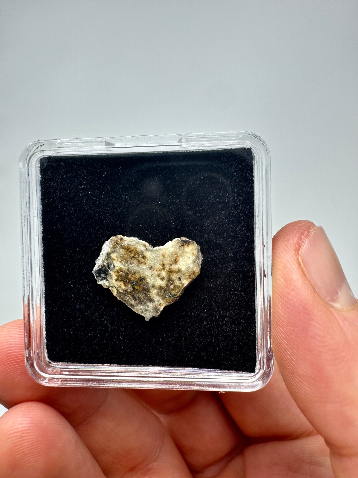 1.2g Djoua 001 Enstatite Achondrite Meteorite - Evidence of Planet Mercury - Marble Appearance