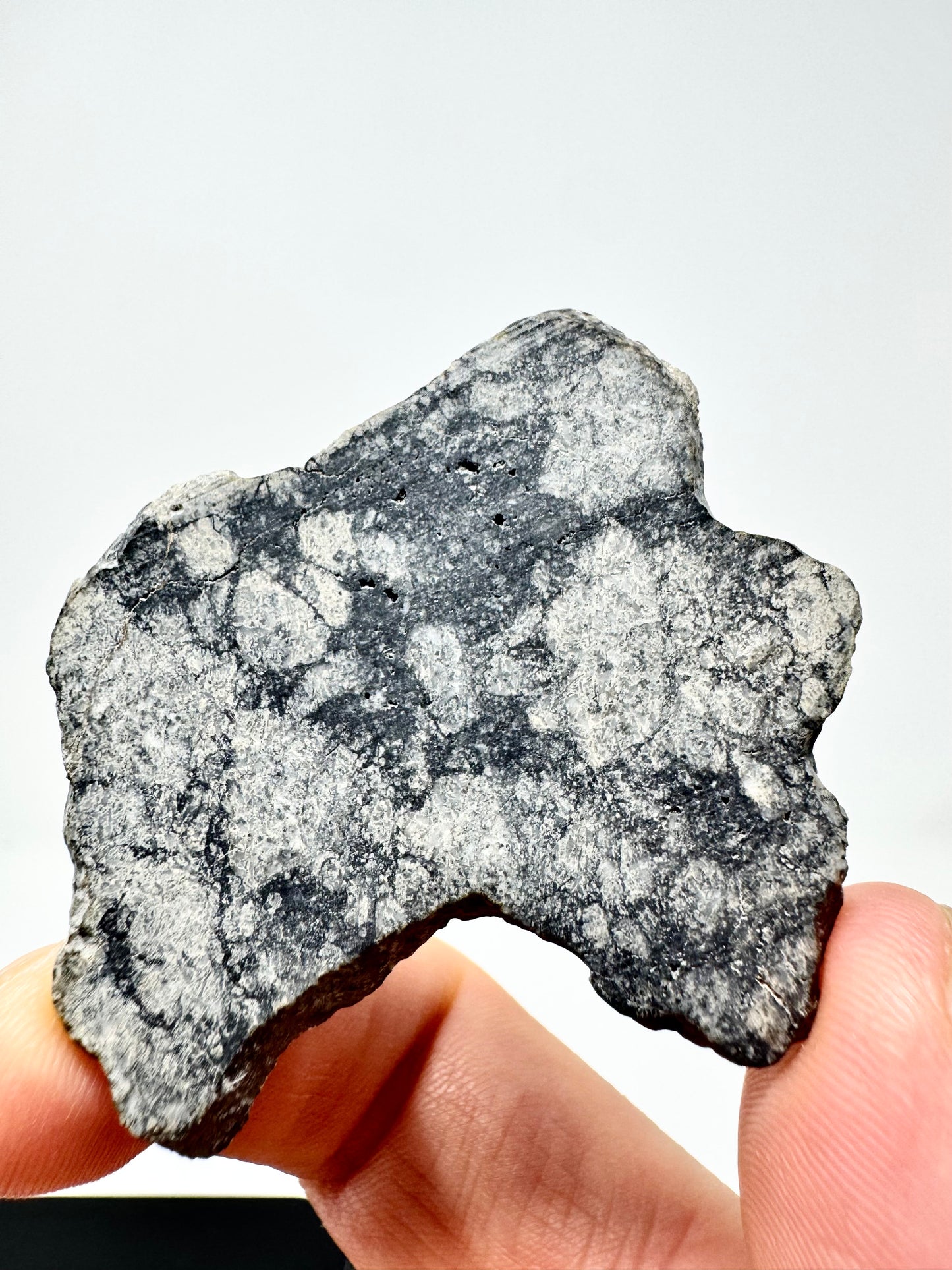 NWA 15923 Eucrite Melt Breccia Meteorite - From An Asteroid! 11.3g
