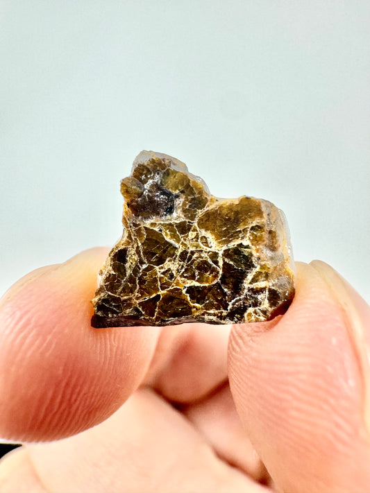 0.9g NWA 16317 Diogenite Meteorite - Parent Body: Asteroid Vesta