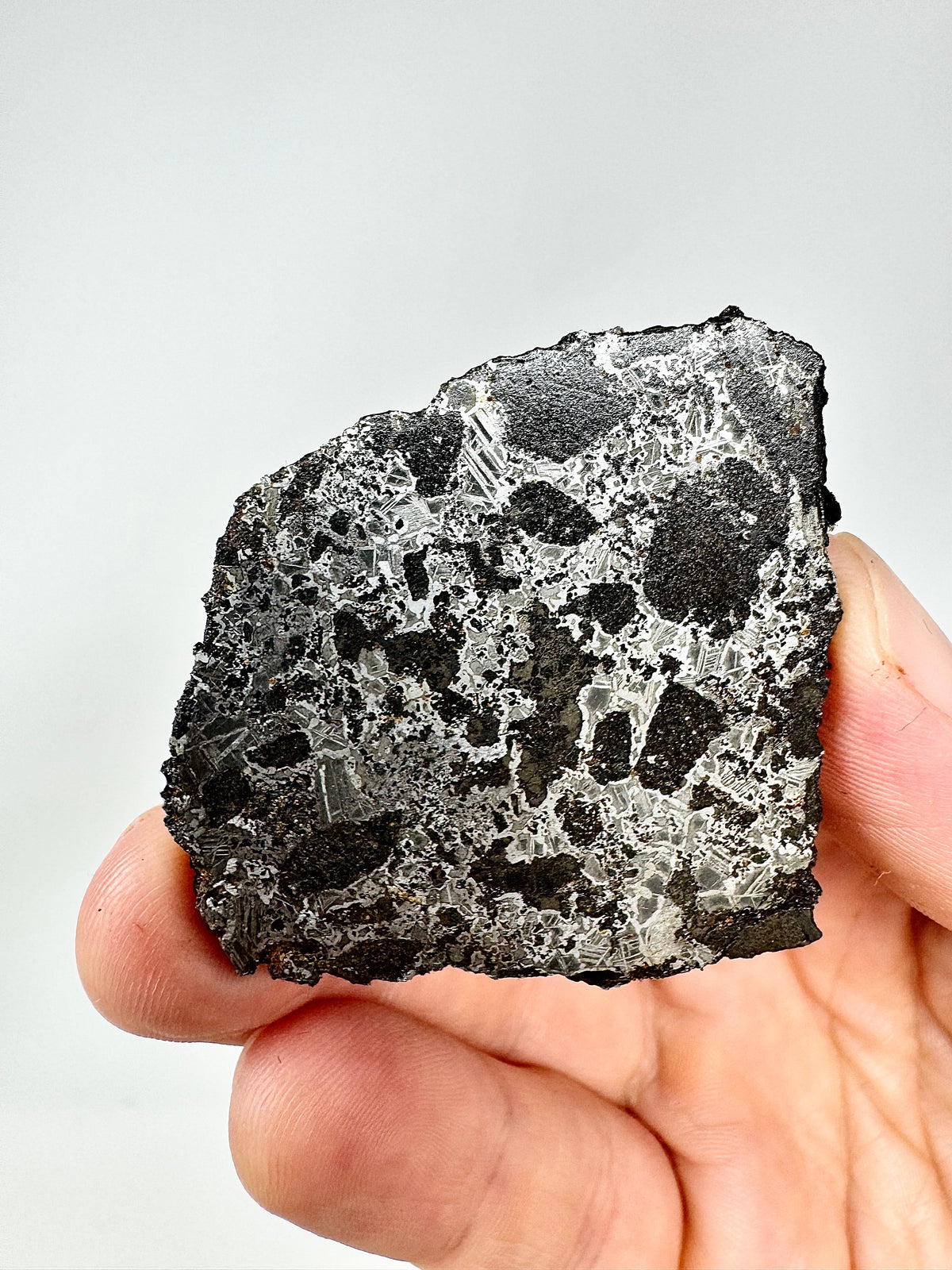 NEW! 21.6g Tessalit 001 - Extremely High Iron Winonaite Meteorite Under Study - A Primitive Achondrite!