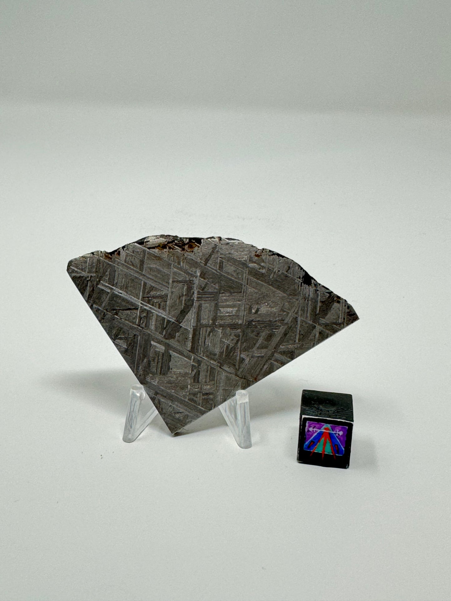 Muonionalusta Iron Meteorite - 42.1g