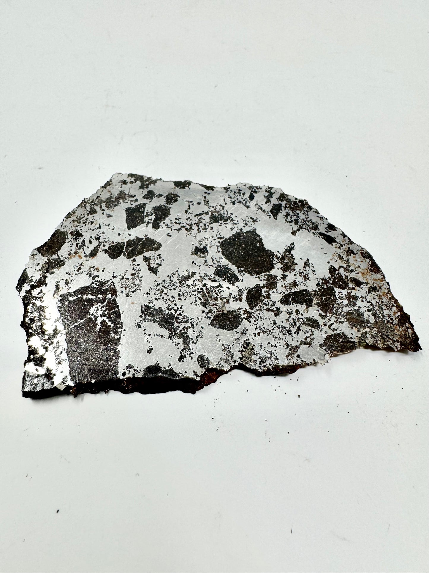NEW! 43.7g Extremely High Iron Winonaite Meteorite Under Study - A Primitive Achondrite!