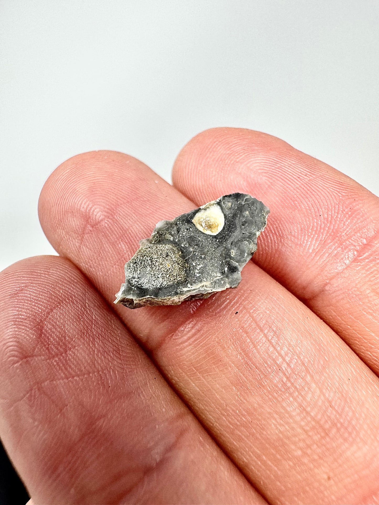 0.8g Adrar 017 Lunar Meteorite - A Rare Gabbro/Norite - From Our Moon!