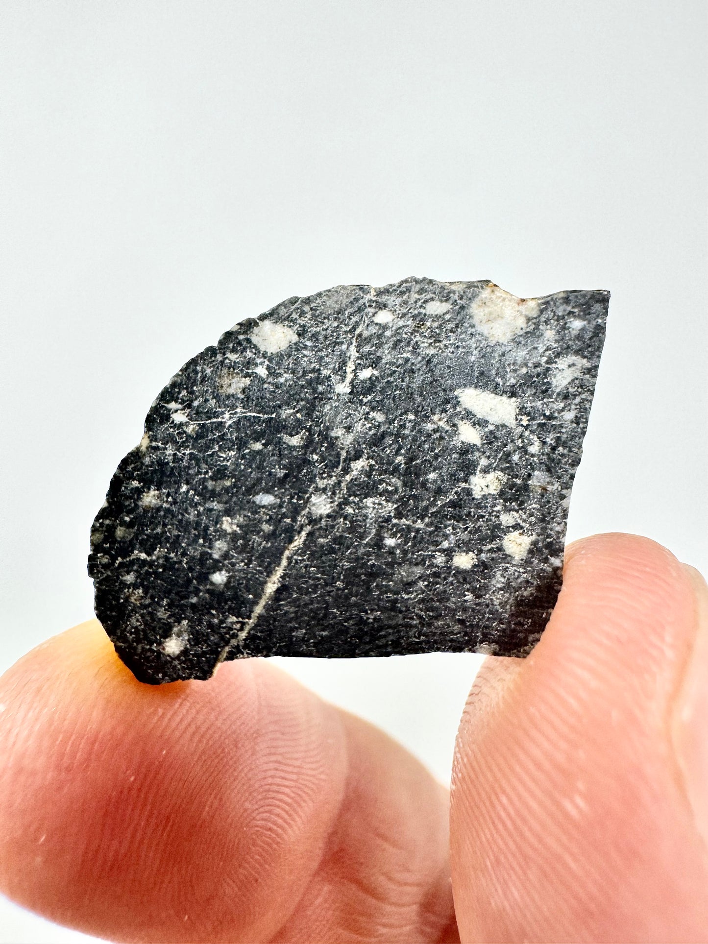 NEW! 2.4g Newly Discovered Lunar Breccia - A Genuine Piece Of Our Moon!