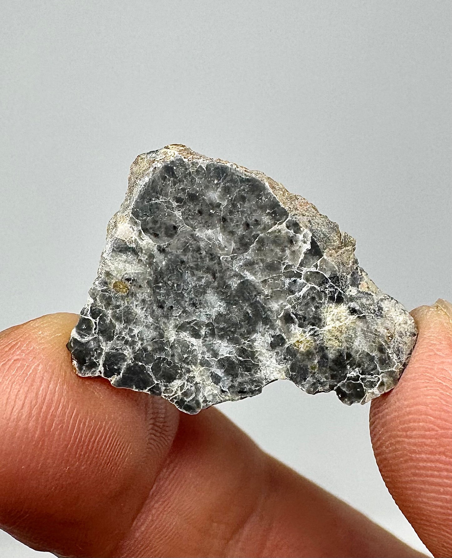 Adrar 013 Lunar Meteorite - A Rare Gabbro/Norite - From Our Moon! 2.5g