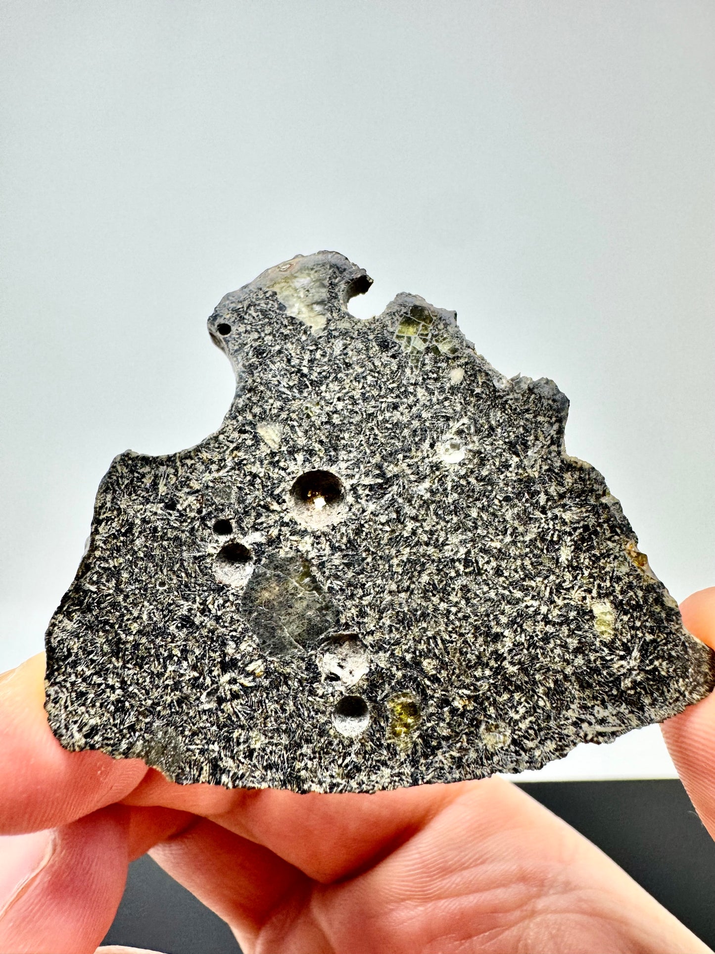 NEA 120 Full Slice - A Rare, Vesicular Angrite Meteorite w/ Needle-Like Matrix And Translucent Crystals! 13.0g