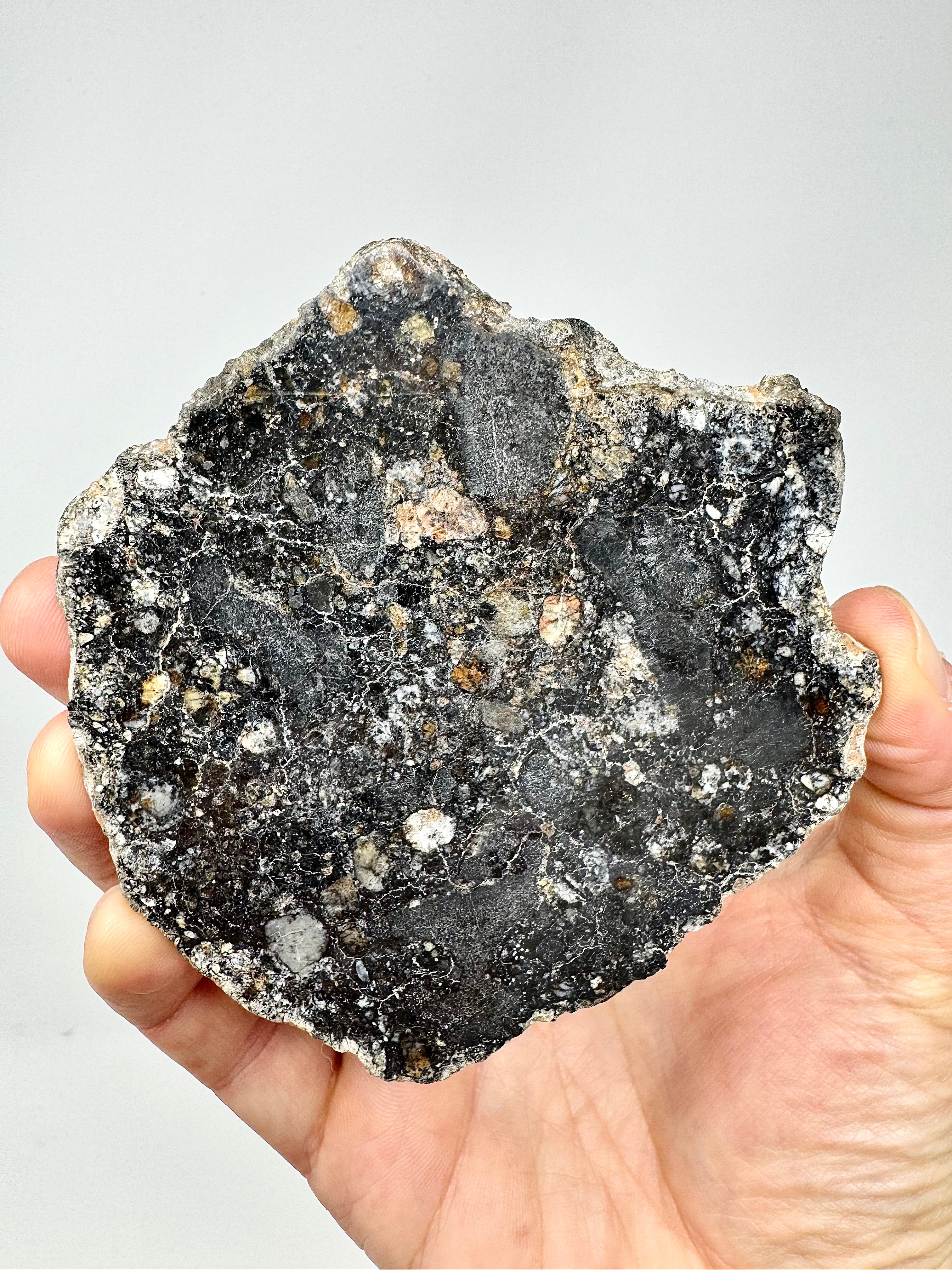 The Interstellar Collection of Meteorites - Newest Arrivals