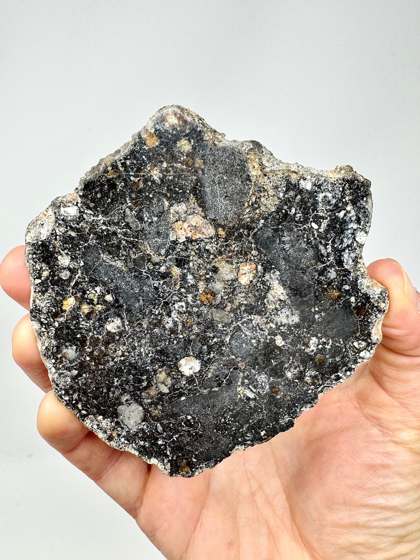 NEW! 60.1g FULL SLICE Jaw-Dropping Personal Classification of NWA 18785 Aubrite - Fragmental Monomict Breccia, Enstatite Achondrite Meteorite - Evidence of Possible Linkage To Planet Mercury
