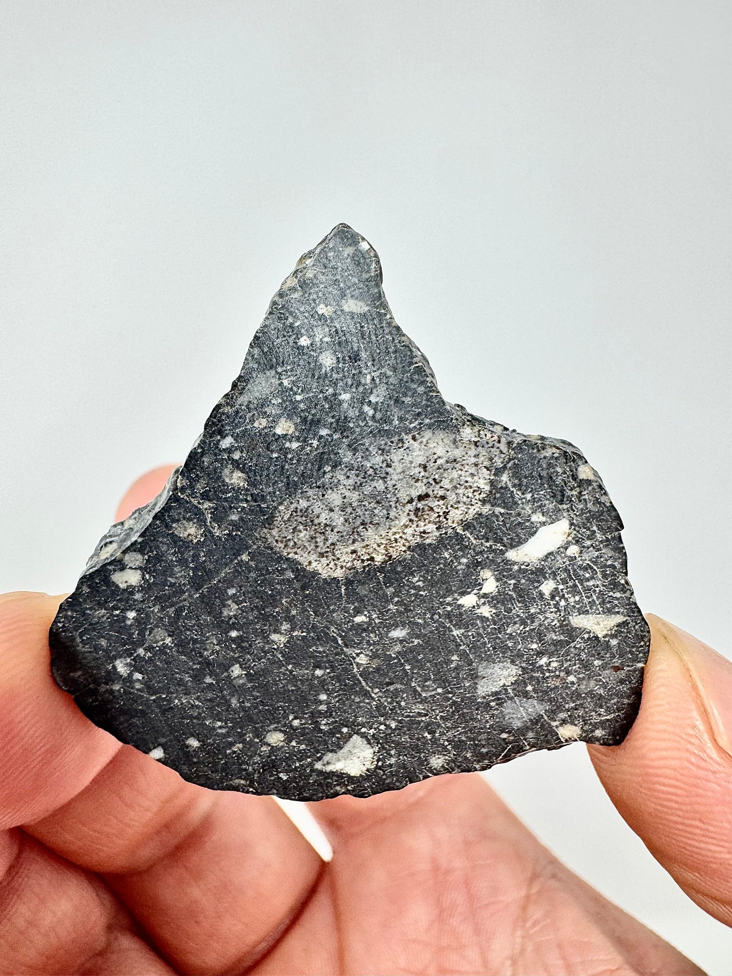 NEW! 6.1g Newly Discovered Lunar Breccia - FULL SLICE - A Genuine Piece Of Our Moon!