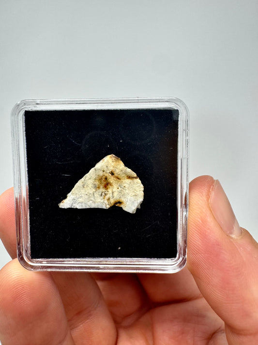 1.0g Djoua 001 Enstatite Achondrite Meteorite - Evidence of Planet Mercury - Marble Appearance