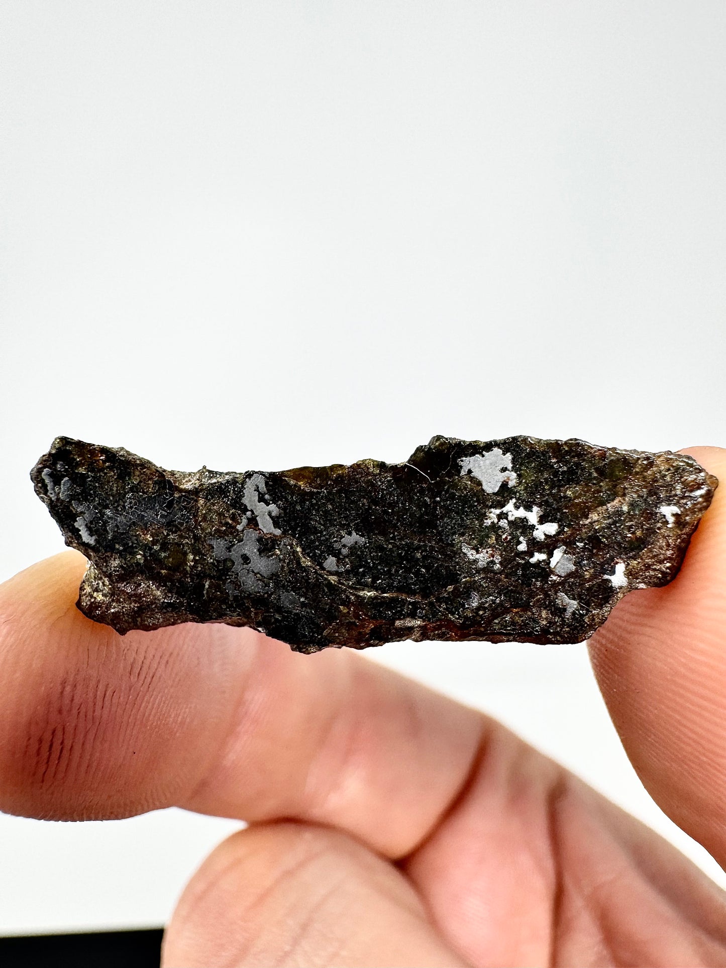 The Famous Bondoc Mesosiderite Meteorite - 2.9g