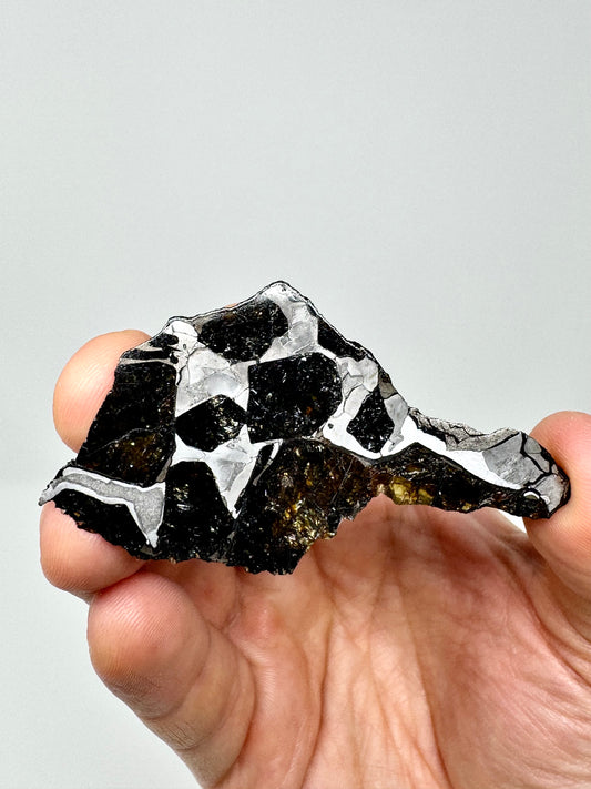 Beautiful NWA 15428 Pallasite Meteorite End Cut - 24.0g - From An Asteroid