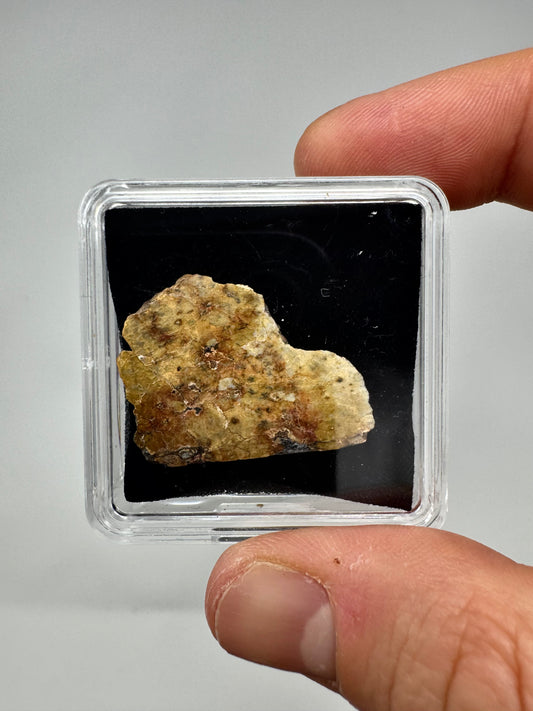 7.0g Djoua 001 Enstatite Achondrite Meteorite - END CUT - Evidence of Planet Mercury - Marble Appearance