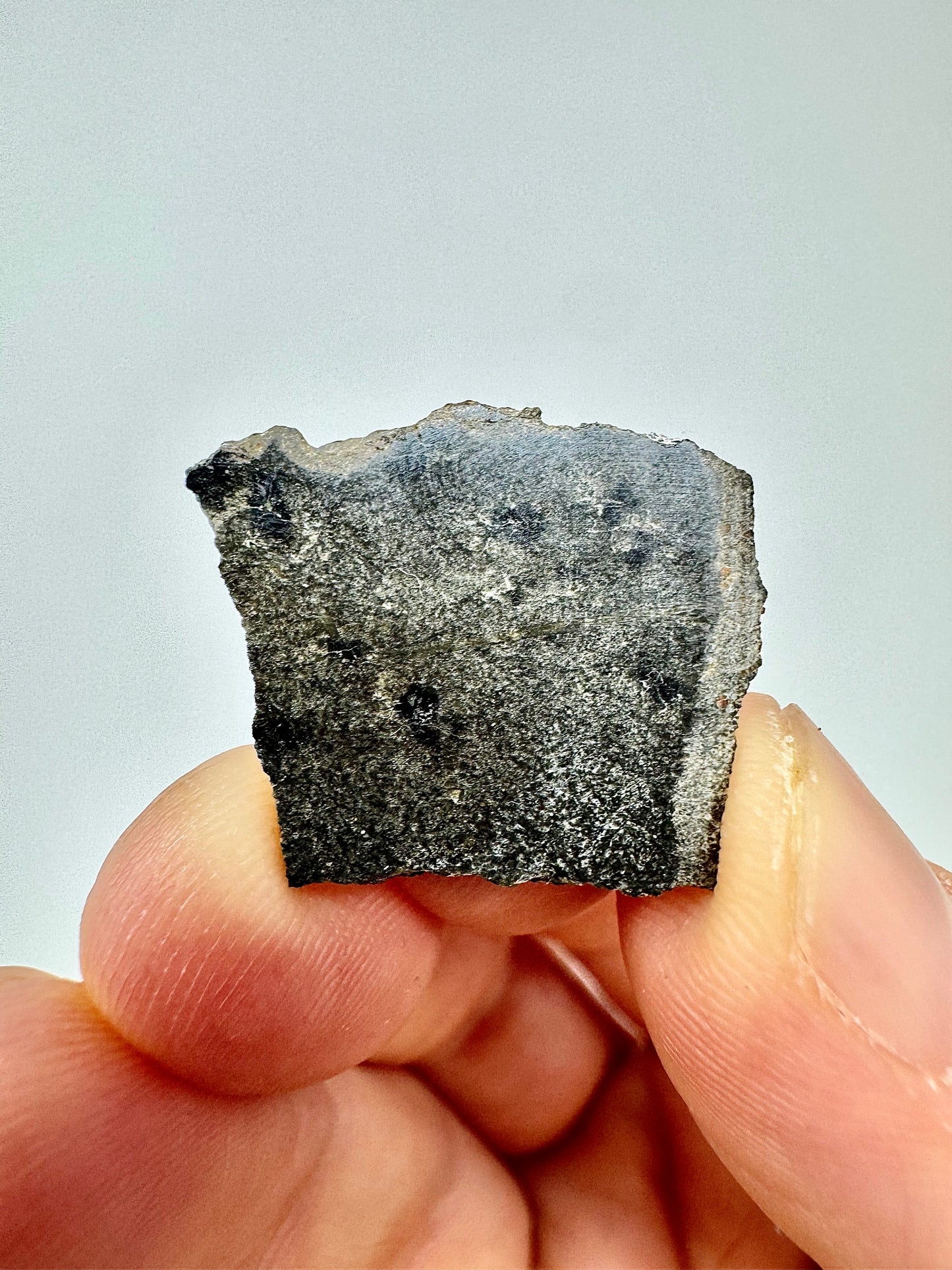 NEW: 2.5g Genuine Martian Meteorite - Scientifically Studied Rock From Planet Mars w/ Aqueous Alteration - NWA 18281