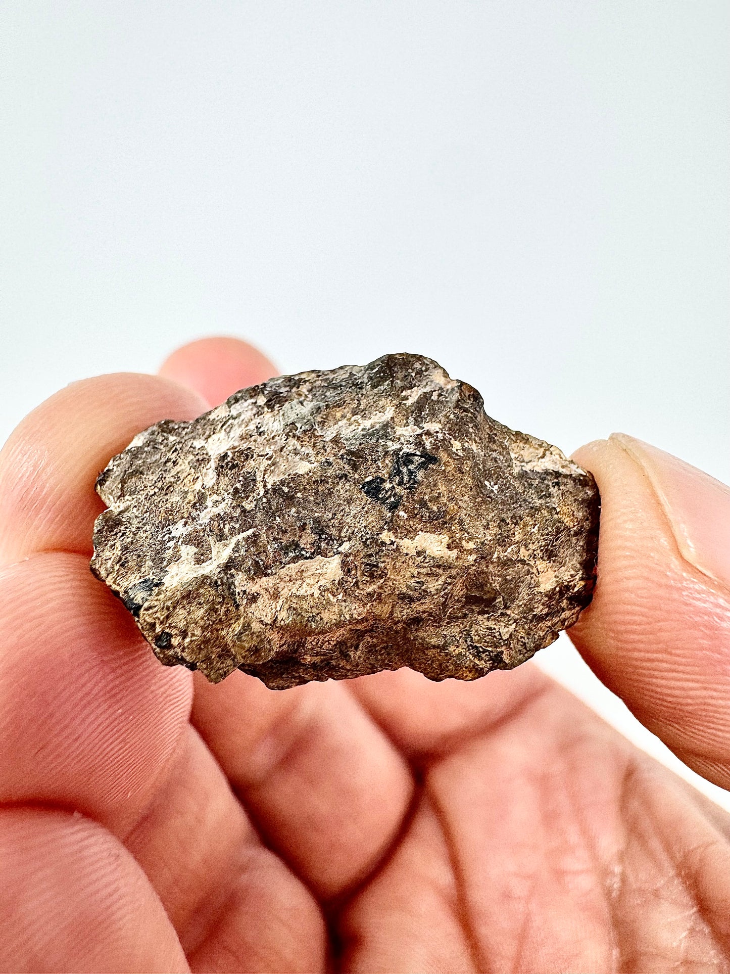 5.2g END CUT NWA 16317 Translucent Diogenite Meteorite - Parent Body: Asteroid Vesta