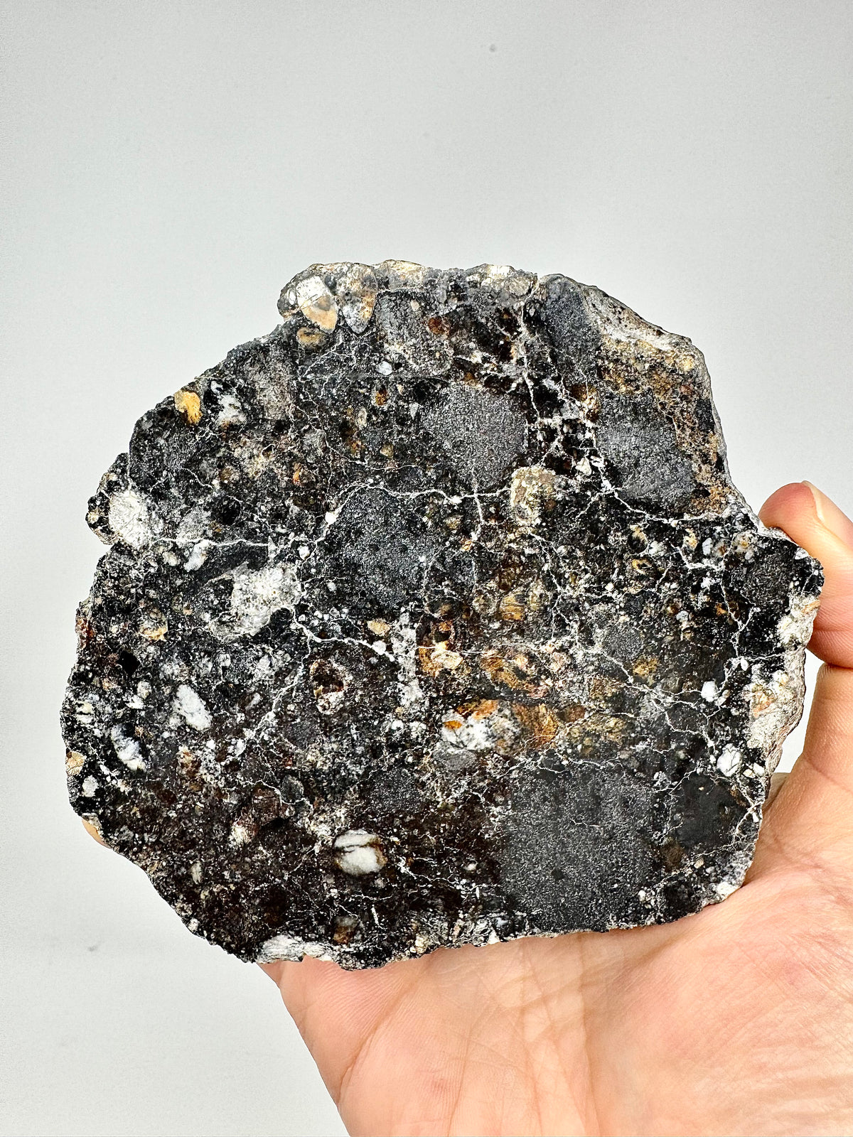 NEW/MAIN MASS/FLUORESCES! 431.5g Jaw-Dropping Personal Classification of NWA 18785 Aubrite - Fragmental Monomict Breccia, Enstatite Achondrite Meteorite - Evidence of Possible Linkage To Planet Mercury