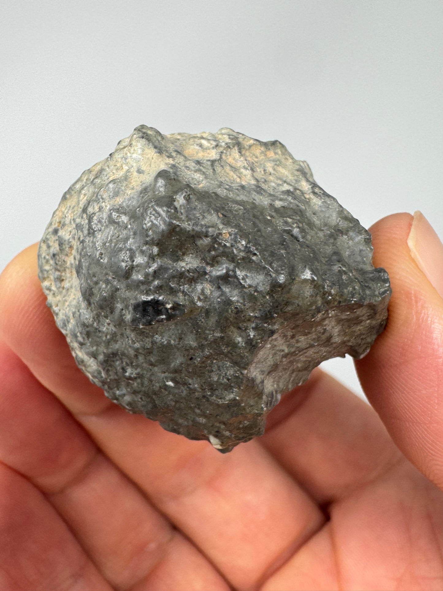 45.8g Lunar Troctolitic Melt - WHOLE STONE! A Rare Lunar Meteorite From Deep Within The Moon